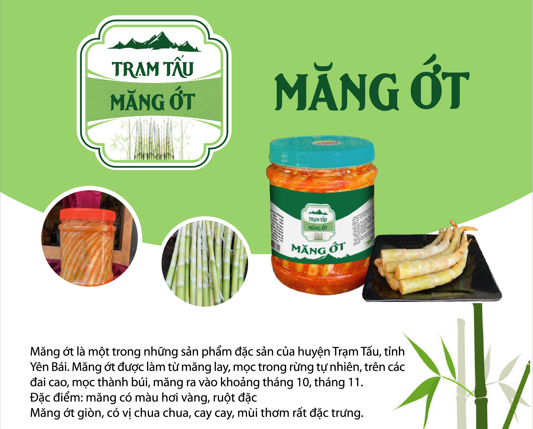 Giới thiệu sản phẩm