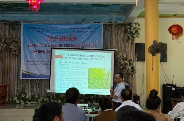 Tổ chức tập huấn: “Tăng cường năng lực cho người sản xuất, chế biến sản phẩm măng ớt Trạm Tấu” năm 2025